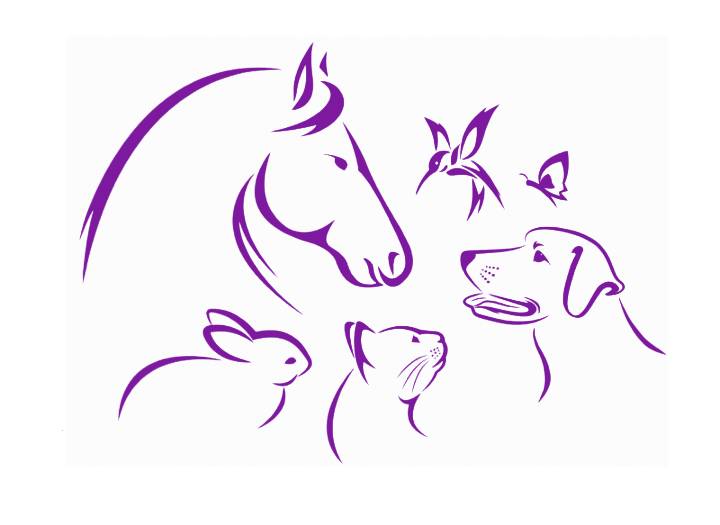 outline of animals